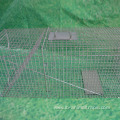 Live Animal Trap Cage Rabbit Cage Racoon Cage